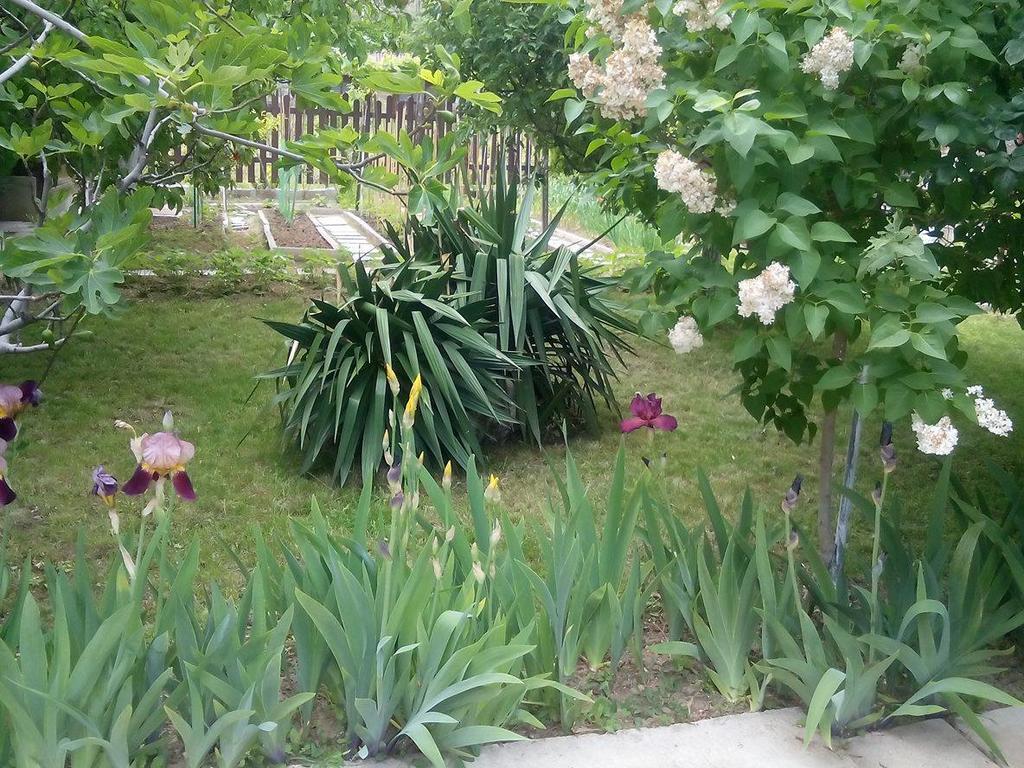 Guest House By The Captain Varna Esterno foto